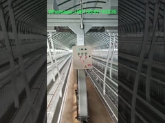 160 Birds / Set Full Automatic Battery Cage System Poultry Farming Equipment