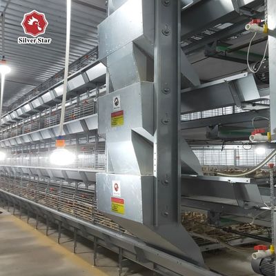 Fully Automatic H-Type Broiler Cage System for High-Density Rearing with Hot-Dip Galvanized Frame