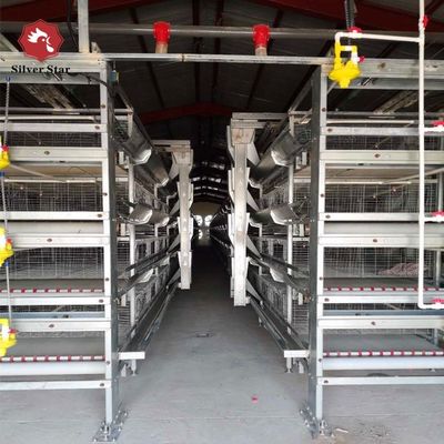 Fully Automatic H-Type Broiler Cage System for High-Density Rearing with Hot-Dip Galvanized Frame