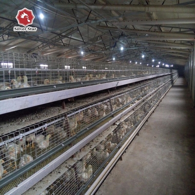 A-type Q235 Steel Cage For Baby Chickens Featuring Hot-dip Galvanized Wire Mesh