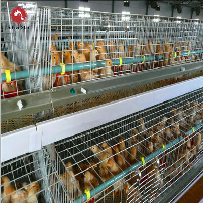 Automated H-Type Broiler Cage System - Hot-Dip Galvanized High-Density Commercial Poultry Farming Equipment