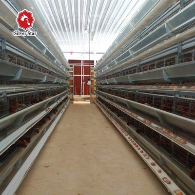 A Type 4 Tiers / Floors 128, 160 Birds Per Set Poultry Layer Cage For Laying Eggs