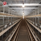 H Type Chicken Poultry Cage Coops Automatic Battery Cages