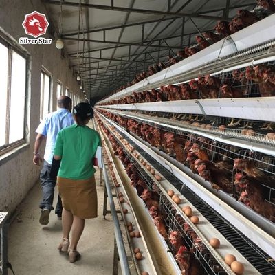 Q235 Hot  Galvanized Automatic A-type and H-type Chicken Cage Poultry Farming