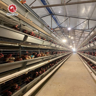 Customized H-Type Layer Hen Battery Cage System for High-Yield Poultry Farming