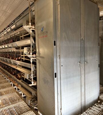 Durable Layer Chicken Cage for Poultry Farming Providing Optimal Space and Ventilation to Maximize Egg Production and Bird Health