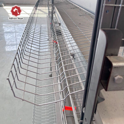 Layer Chicken Cage Manufacturer Automatic Feeding & Drinking System For Egg Layer Chicken