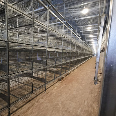 Modern HDG Chicken Egg Layer Cages 0.40m2 Space 9birds/Cage Farming