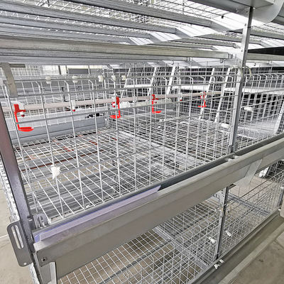 Hot Galvanized Wire Mesh Broiler Chicken Cage H Type