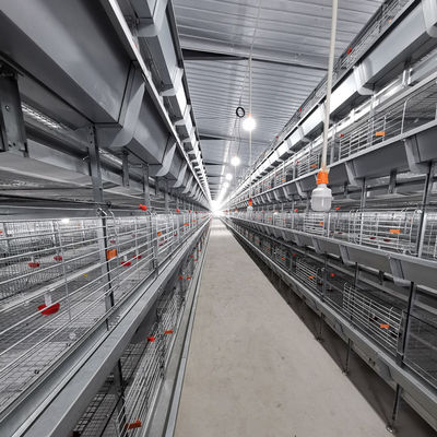 Automated H-Type Meat Broiler Cage System - Hot-Dip Galvanized High-Density Commercial Poultry Farming Equipment