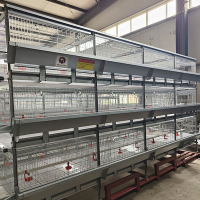 U Shaped Galvanized Broiler Poultry Farming Equipment 60-192 Birds Capacity