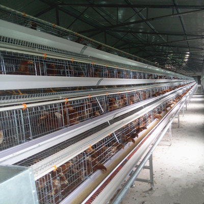 4 Tier Battery Chicken Cage Battery Farm Chickens Cage For Poultry House