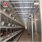 H Type Chicken Poultry Cage Coops Automatic Battery Cages