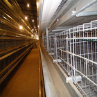 Long Lifespan cold galvanized Battery Chicken Cage For Chicken Cage