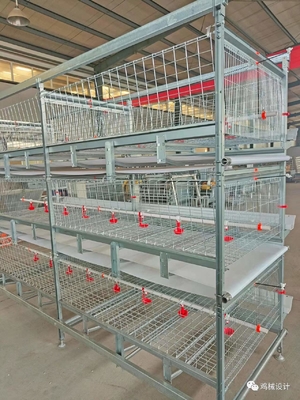 Galvanized Multi Poultry Broiler Cage Chicken Raising Automatic Breeding