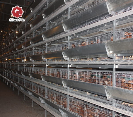 50000 Layers Farm Poultry Chicken Cage Equipment