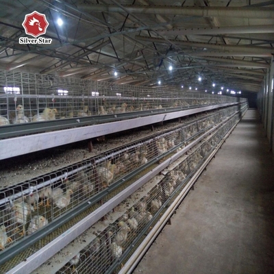 A-type Q235 Steel Cage For Baby Chickens Featuring Hot-dip Galvanized Wire Mesh