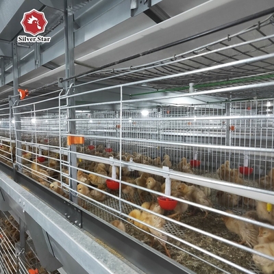 Full Automatic Hot Dipped Broiler Chicken Cage H Type