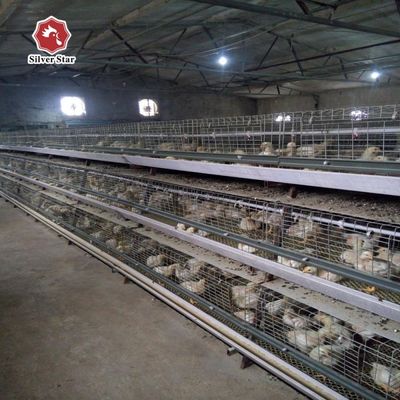 최고의 가격 A형 브로일러 케이지 시스템 1,000~50,000마리의 닭을 위한 자동 A형 브로일러 케이지