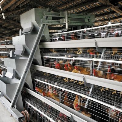 Durable 128 Birds A Type Chicken Laying Egg Cages