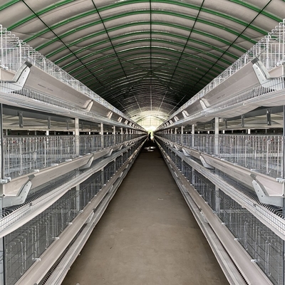 H Type Fully Automatic Battery Chicken Cage System Egg Layer Poultry Farming Equipment