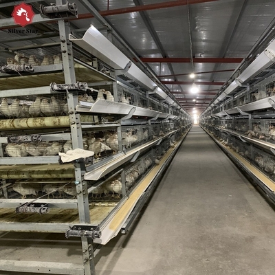 H Type Chick Cages For Automatic Poultry Broiler Chicken Housing