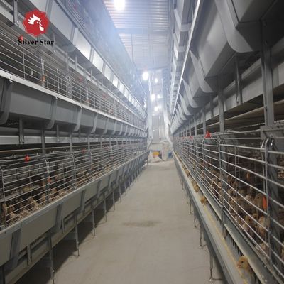 Modern Automated H-Type Broiler Farm Cage System | High-Density Meat Poultry Raising Equipment