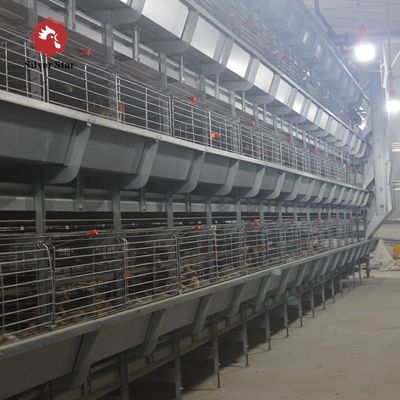 Fully Automatic H-Type Broiler Cage System for High-Density Rearing with Hot-Dip Galvanized Frame