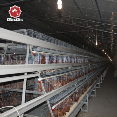 Durable 128 Birds A Type Chicken Laying Egg Cages