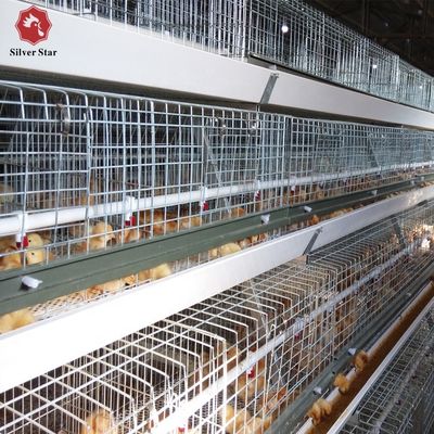 Automated H-Type Broiler Cage System - Full Automatic Hot Galvanized High-Density Poultry Farming Equipment