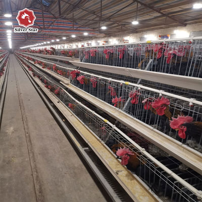 A-Type Layer Chicken Cage System with 3-Tier / 4-Tier Design, Automatic Feeding & Egg Collection, Hot-Dip Galvanized Steel for Poultry Farms