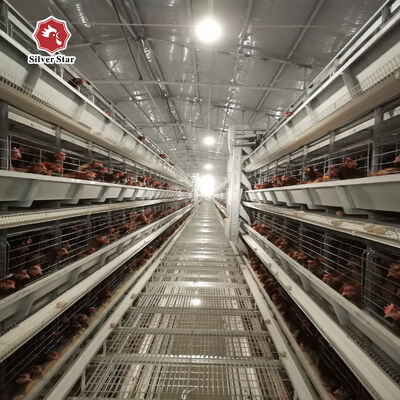 H 타입 레이어 치킨 케이지 20 년 서비스 라이프와 함께 54-216 닭 3-8 계층