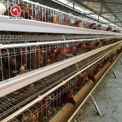 A-Type Broiler Battery Cage System for Poultry Farm Hot-Dip Galvanized A-Type Broiler Cage Manufacturer