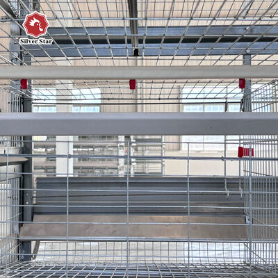 Automatic Layer Chicken Cage Equipment Battery Cage System for Layer Chickens
