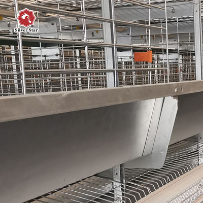 Modern HDG Chicken Egg Layer Cages 0.40m2 Space 9birds/Cage Farming