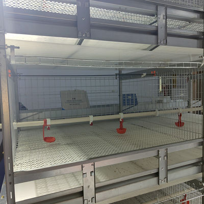 Automated H-Type Broiler Cage System - High-Density Hot-Dip Galvanized Poultry Farming Equipment