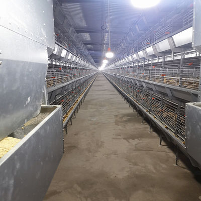 Automatic Broiler Equipment For Chicken House, 380V 50HZ With SONCAP Approval