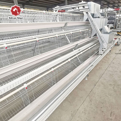 120 Chicken Capacity Battery Cage System In Poultry farm