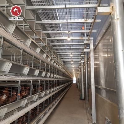 H Type 2.5mm Open House Battery Cage System 450cm2/Bird Area