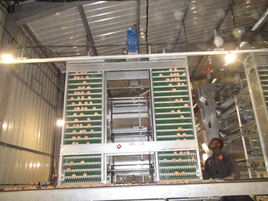 Complete Set Of Laying Hens Breeding Equipment For Chicken House