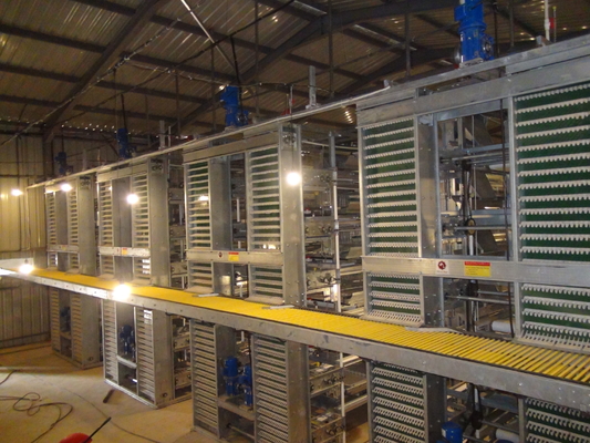 Hot Galvanized Layer Cage System For Poultry Farming