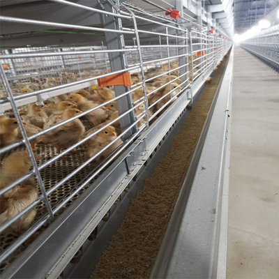 A-type Q235 Steel Cage For Baby Chickens Featuring Hot-dip Galvanized Wire Mesh