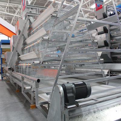 Full Automatic Poultry Cage For Layers A Type 3 Tiers